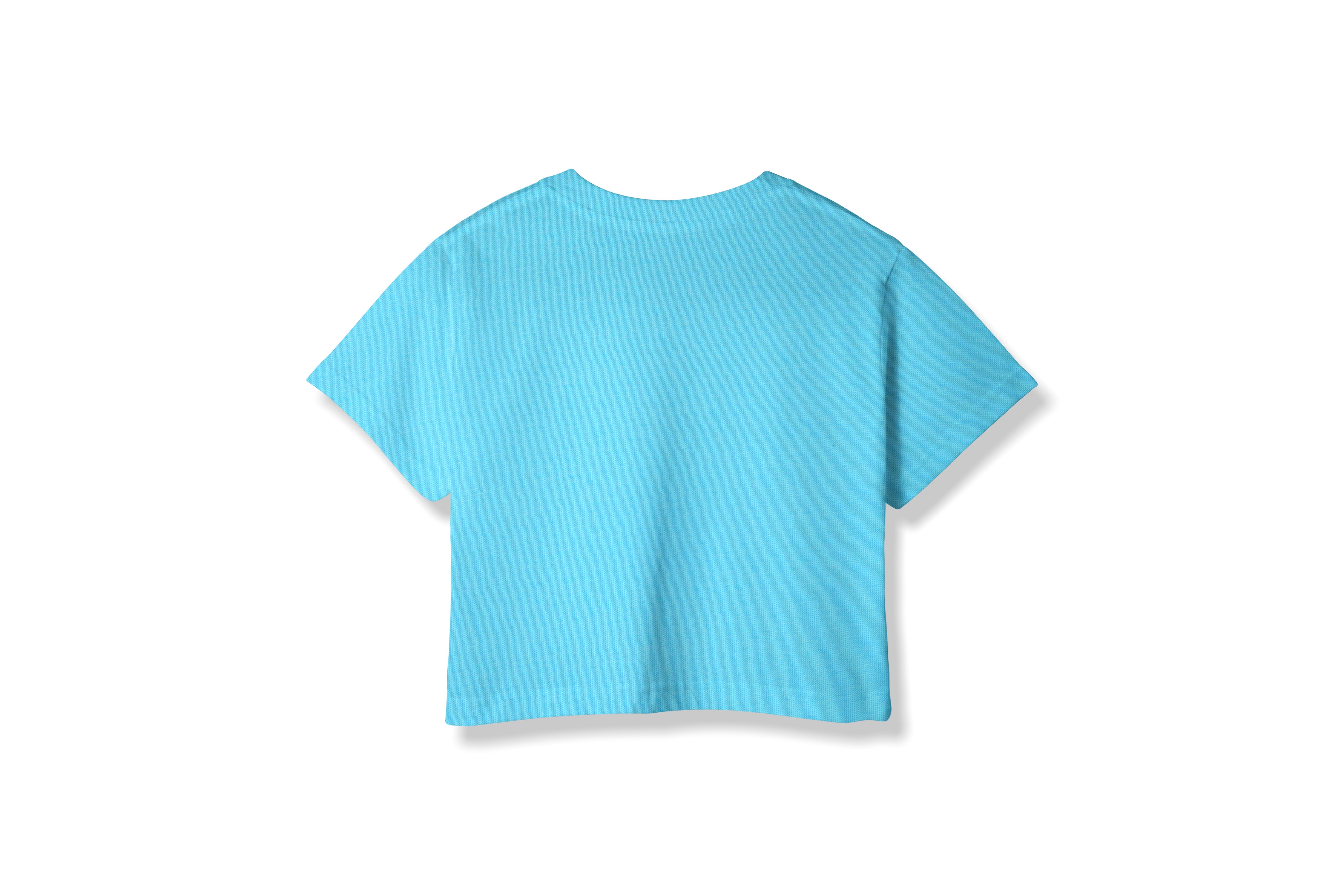 Regular Fit Crop Top (Sky Blue)
